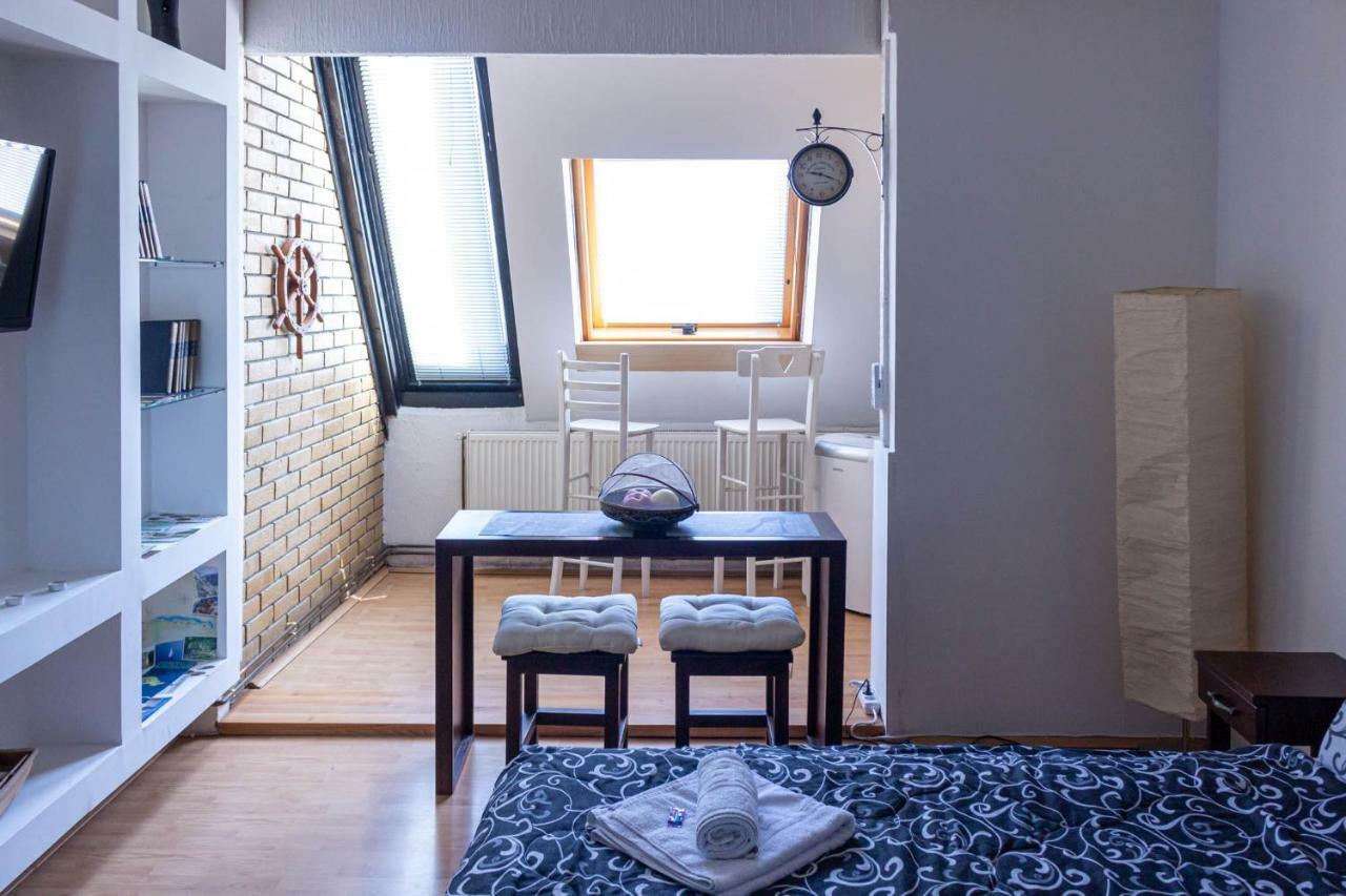 Apartman "Soba Sa Pogledom" Golubac Bagian luar foto
