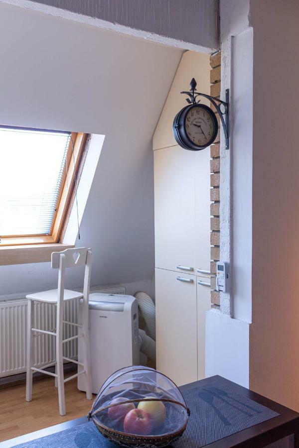 Apartman "Soba Sa Pogledom" Golubac Bagian luar foto