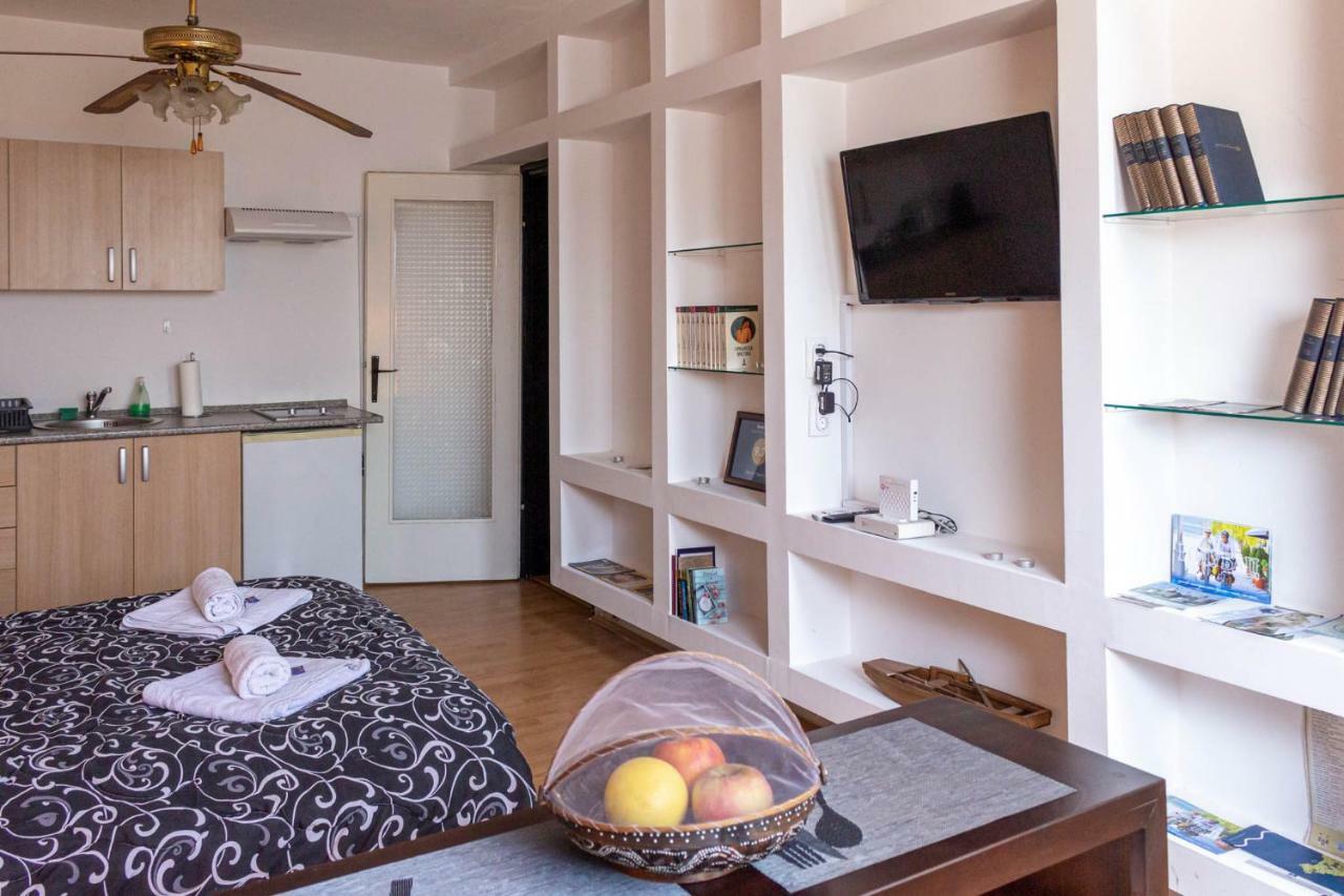 Apartman "Soba Sa Pogledom" Golubac Bagian luar foto